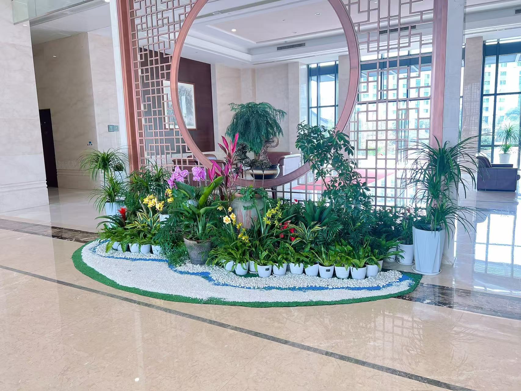 揭秘宁波海曙花木租摆价格，超实用！